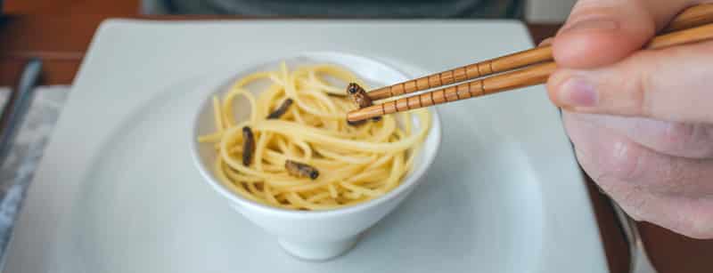 chapulines con espaguetis